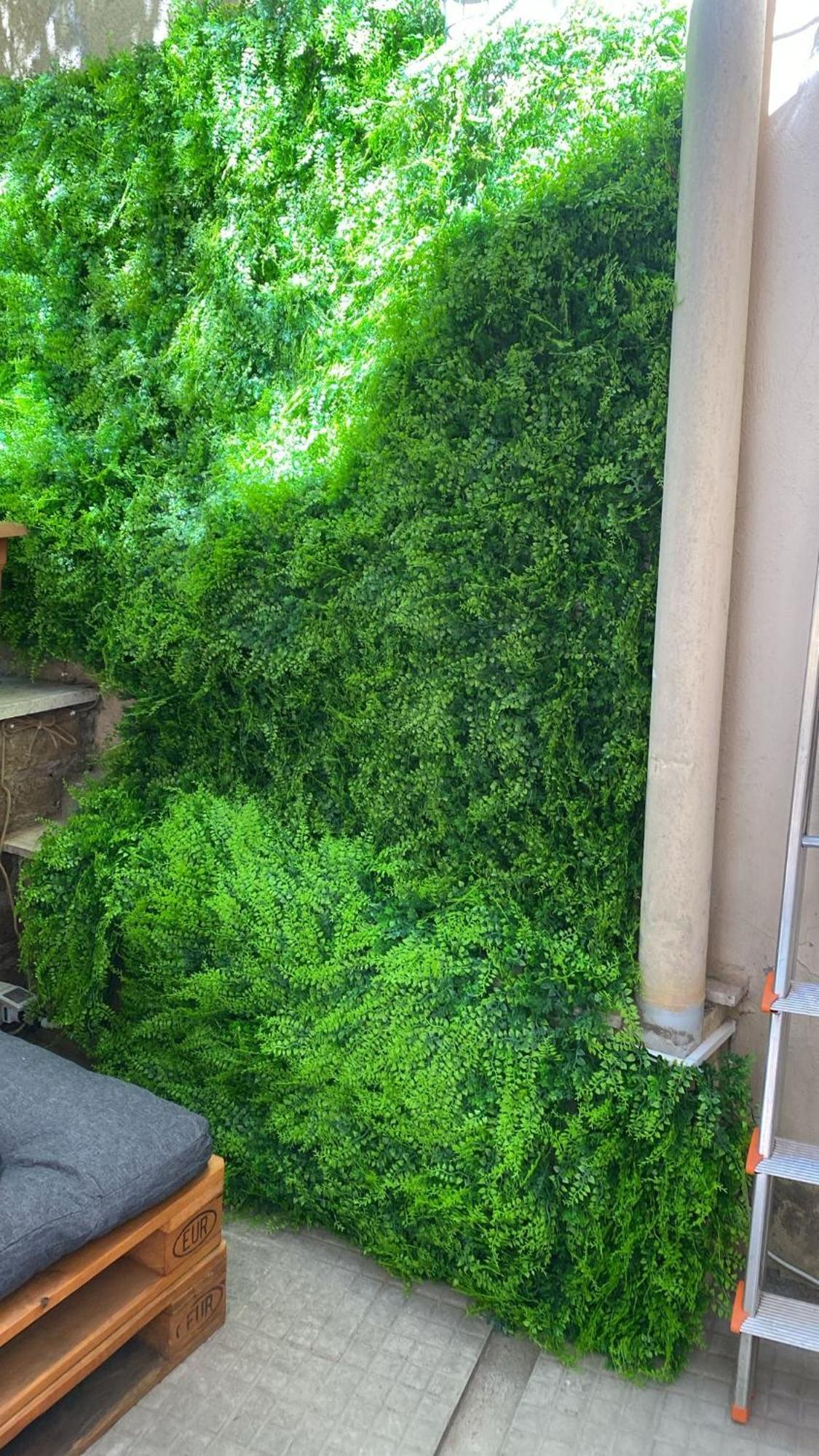 The Green House Roma Exterior foto